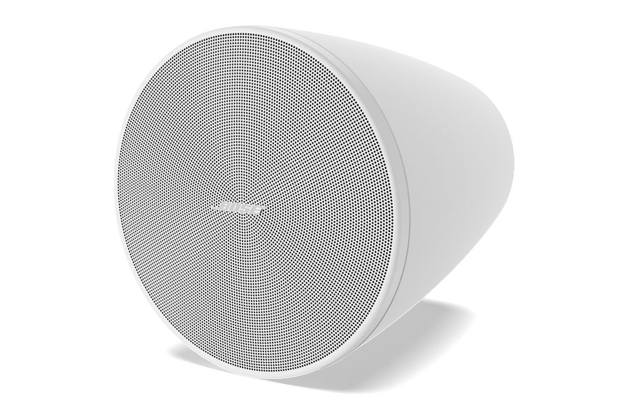 Bose Professional DesignMax DM5P pendant loudspeaker