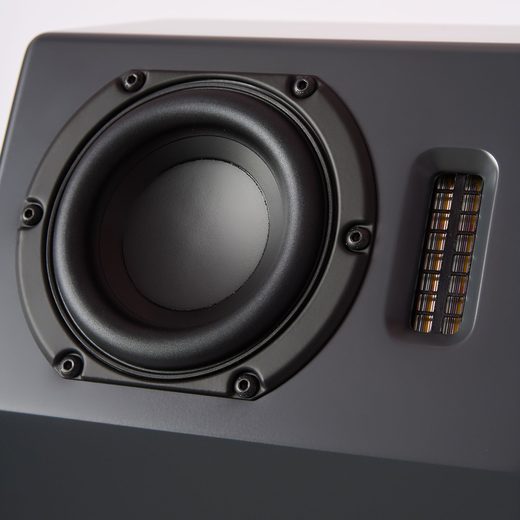 Neat custom mid/bass driver and tweeter on an Alpha II cabinet
