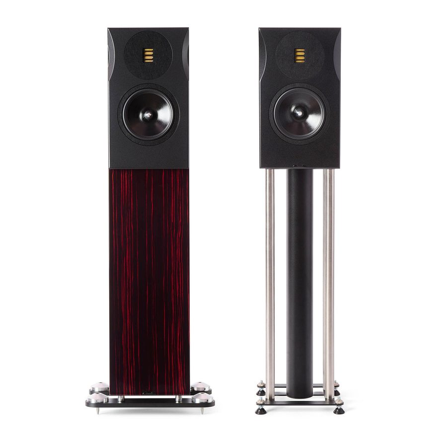 Neat Momentum J6 floorstander alongside the Momentum JS standmount