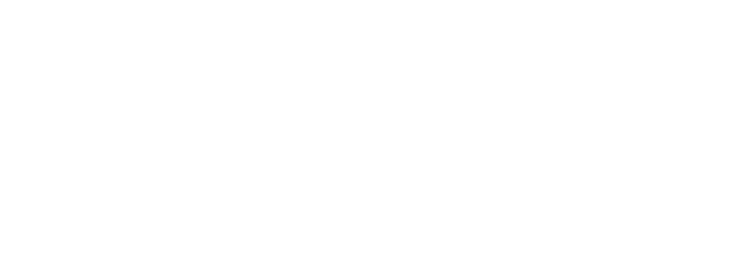 Denon logo