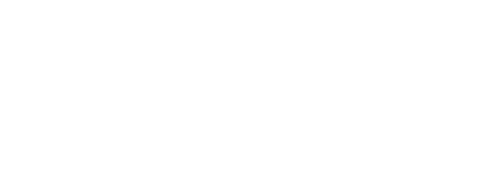 madVR Labs logo