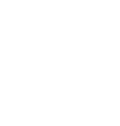 Procella Audio logo