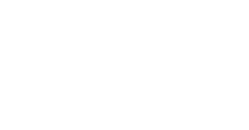 SIM2 logo